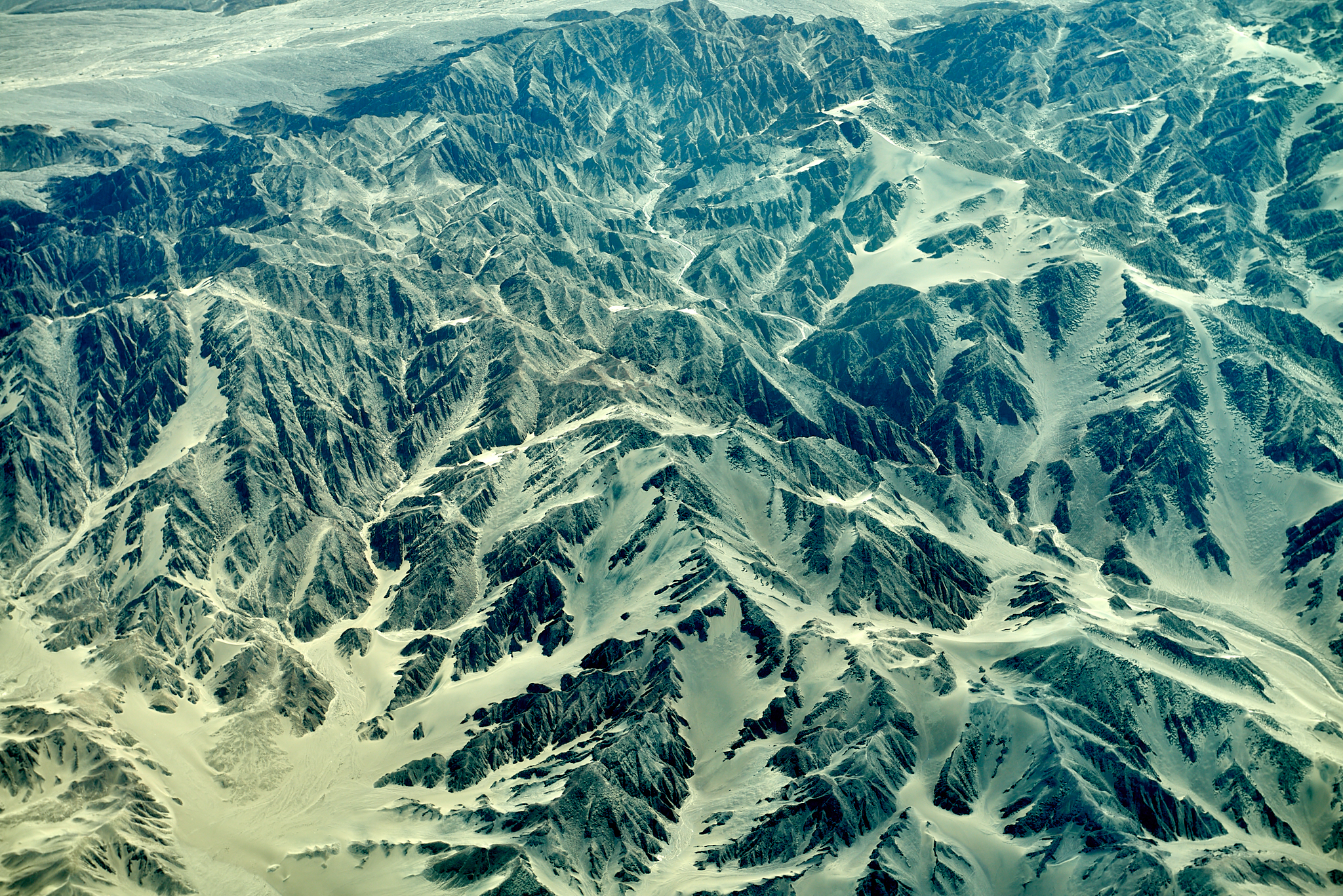 20200305 238 [페루] 나스카 라인